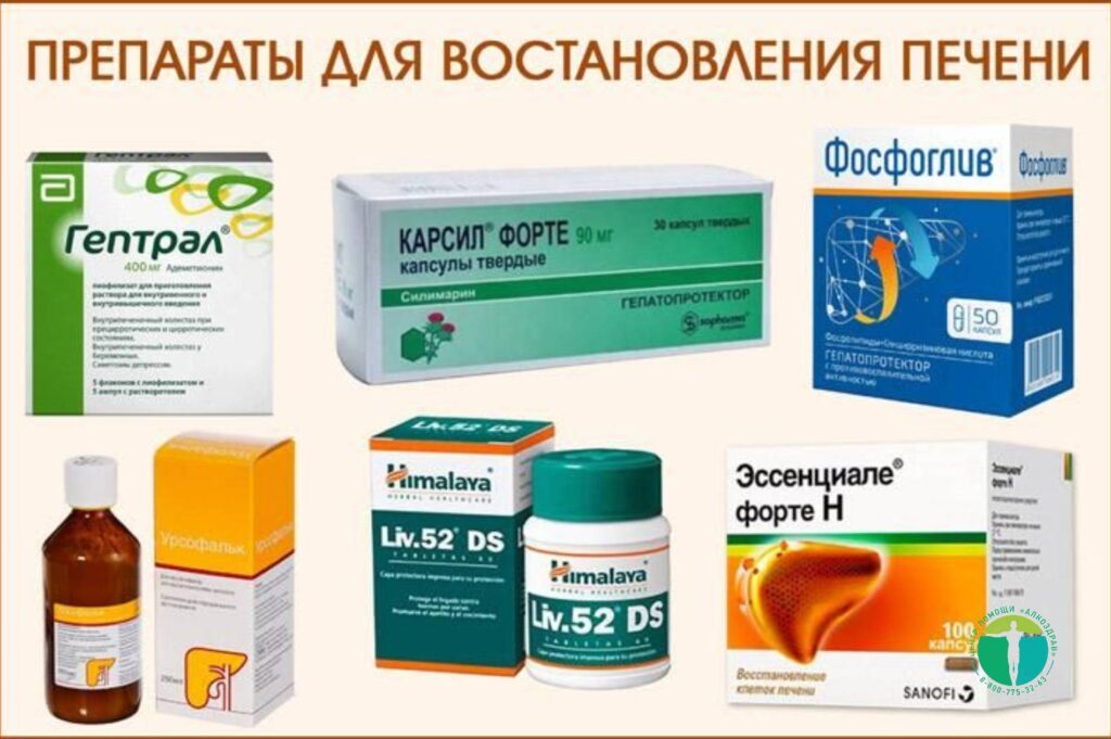 Гепалекс: Комплексная Поддержка Здоровья Печени и Желчевыводящих Путей — Фото 2